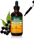 Herb Pharm Certified Organic Black Elderberry Liquid Extract for Immune System Support, Organic Cane Alcohol, 4 Ounce