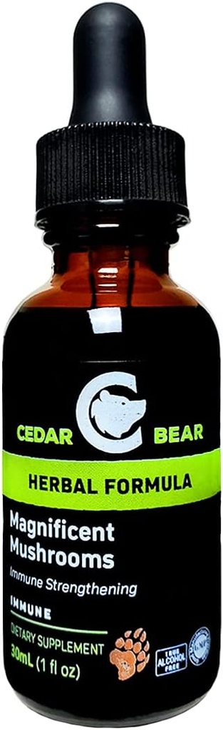 Oso de Cedro Magníficos Setas un Suplemento Herbal Líquido que Construye El Sistema Inmunitario, Protege, Fortalece y Balances Salud general 1 Fl Oz