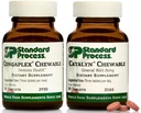 Standard Process Children's Wellness Chewable Bundle - Congaplex & Catalyn Supplement Kit - Immune & Cell Function Support Suplementos - Suplementos nutricionales para la salud general