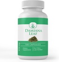 PURE ORIGINAL INGREDIENTES Damiana Hoja, 100 cápsulas, siempre puro, sin aditivos ni artillería, Lab Verified