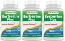Best Naturals Berberine Plus 1000 mg/Serving 120 cápsulas - (Pack of 3)