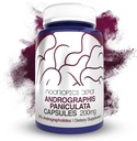 Andrographis paniculata Capsules tención 200mg Silencio 60 Conde tención 50% Andrographolides  Apoyo Función inmunitaria ¦