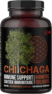 Chaga Mushroom Capsules Suplemento de Apoyo a la Salud Inmune - 120 cápsulas vegetarianas
