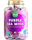 MAJU's Powerful Purple Sea Moss Capsules (60 ct), Extra-Strength Purple Minerals, Chondrus Crispus, Stronger Than Gel, Compare to Organic Irish Seamoss Capsule, Wild Harvested Powder Pills