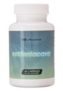 Ecklonia Cava Extracto - 99% Pureza - 50% Polyphenols - 320 mg por servicio diario, 60 cápsulas