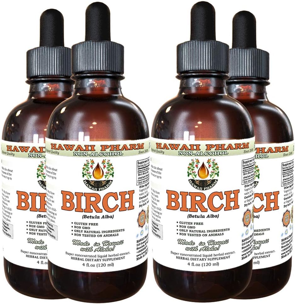 Extracto líquido libre de alcohol, Birch (Betula Alba) Barco seco Glycerite Hawaii Pharm Natural Herbal Suplemento 4x4 oz