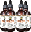 Extracto líquido libre de alcohol, Birch (Betula Alba) Barco seco Glycerite Hawaii Pharm Natural Herbal Suplemento 4x4 oz