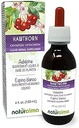 Naturalma Hawthorn (Crataegus oxyacantha) Hoja y Flor Alcohol-Free Tintura - 4 fl oz Liquid Extract in Drops - Herbal Supplement - Vegan