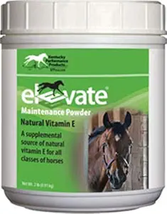 Kentucky Performance Prod 044097 Elevate Maintenance Powder Suplemento para Caballos, 2 lb