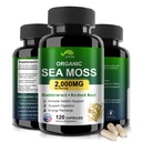 Moss de Mar Orgánico Capsules con Rayo, Root de Burdock y Pepper Negro Extract-Irish SeaMos Pills 2000mg-Promotes Immune System,Thyroid Support(120 Capsules)