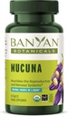 Banyan Botanicals Mucuna Pruriens – Tabla de hierbas orgánicas – Energizing, Supports Healthy Nervous & Reproductive Systems* – Fuente natural de L-Dopa – 90 Tablets – Non-GMO Sosteniblemente Fuente Vegan