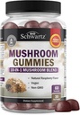 Mushroom Gummies para adultos - 10-en-1 Mushroom Suplemento Funcional para Mood y Focus with Lions Mane Turkey Tail Cordyceps Shiitake Reishi - Vegan, Non-GMO, Fresh Raspberry Flavor, 60 Conde