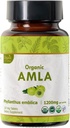 Amla 120 Tabletas – USDA Organic Indian Gooseberry – Rich in Vitamin C &amp; Supports Immune Health*