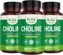 Nested Naturals Choline Bitartrate 500mg | High Potency Choline Supplements | Supports Cognitive Performance & Liver Function | 100% Vegan & Non-GMO | (3-Pack)