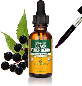 Herb Pharm Certified Organic Black Elderberry Liquid Extract for Immune System Support, Organic Cane Alcohol, 1 Oz
