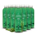 Chlorophyll Water – Liquid Chlorophyll 12-Pack (16.9oz) TENIDO Vitamina A, B12, C, D ANTERIED Detox Cleanse, Alkaline Water, Energy Boost TEN Vitamin Water TEN Plant-Based TEN Clean Label Project ANTE Hydration Support