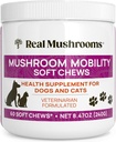 Real Mushrooms Mobility Chews for Dogs & Cats – Green Lipped Mussel & ErgoGold Mushroom Blend – Dogs & Cat Vitamins Treats for Active Routines – Joint, Hip & Flexibility Support – 240 ct Suplemento