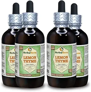 Lemon Thyme (Thymus x Citriodorus) Glycerite, Organic Dried Herb Alcohol-Free Liquid Extract (Brand Name: HerbalTerra, Proudly Made in USA) 4x4 fl.oz (4x120 ml)