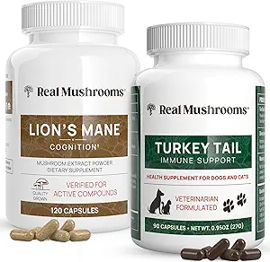 Real Mushrooms Lions Mane for Humans (120ct) & Turquía Tail for Pets (90ct) - Bundle for Cognition and Immunity - Vegan, Non-GMO, Grain-Free, Gluten-Free Mushroom Extract Capsules