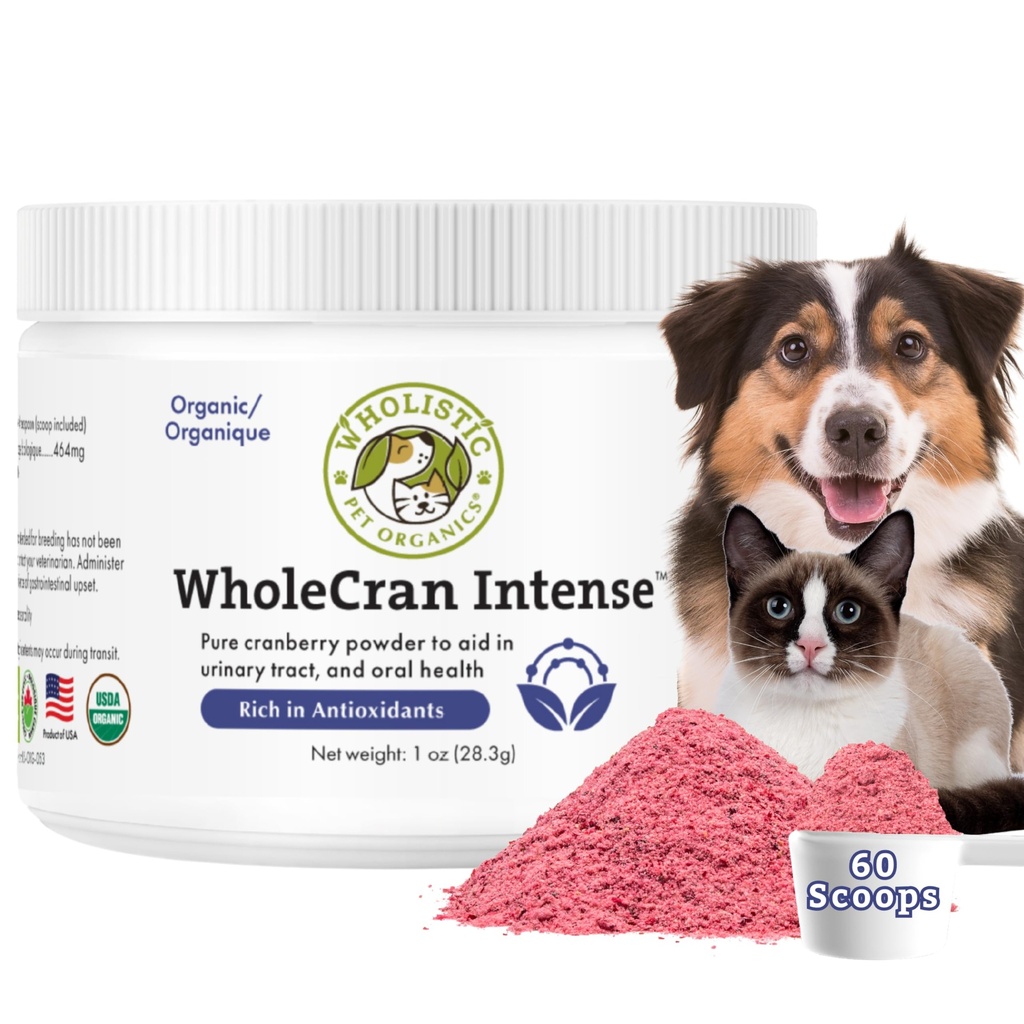 Wholistic Pet Organics WholeCran Intens: Organic Cranberry Powder for Dogs Urinary Tract Support Kidney Support for Dogs UTI Treatment Vitamin C and Antioxidants Dog Incontinence Product