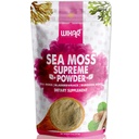 Wixar Wildcrafted Sea Moss Powder – (8 onzas) – Natural Irish Sea Moss and Bladderwrack with Burdock Powder - Thyroid Support, Healthy Skin, Keto Detox, Joint Support Alkaline Supplements