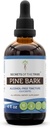 Secretos del Tribe Pine Bark Extracto líquido libre de alcohol, Barco de pino salvaje (Pinus strobus) Barco seco (4 FL OZ)