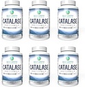 Best Earth Naturals Six Pack of Catalase 10,000 Fórmula Enzyme Suplemento con Saw Palmetto, Biotin, Fo-Ti, PABA - Suplementos para el cabello fuerte - 360 cápsulas (tabla de 180 días)