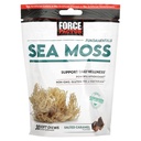 Factor de fuerza Sea Moss Chews a Daily Wellness & Antioxidant Support a Salted Caramel (30 Soft Chews)