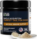 Turquía Tail Mushroom for Dogs - Todo, Orgánica Mushroom Extract - Más del 50% Beta-Glucan - Tercera Parte Tested, Made in The USA - No Grains No Fillers - 60 Días Gran Suministro de Perros