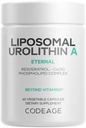 Codeage Liposomal Urolithin A Supplement 500mg Por Serving + Resveratrol, Betaine, CoQ10, Ellagitannnins - A New Frontier Beyond NADH, NMN, NAD, NR y PQQ Vitaminas - Bioavailable - 60 cápsulas