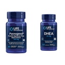 Extensión de la vida Pine Marítimo francés Extracto con DHEA Hormon Balance - 60 cápsulas Pycnogenol & 100 cápsulas DHEA 25mg