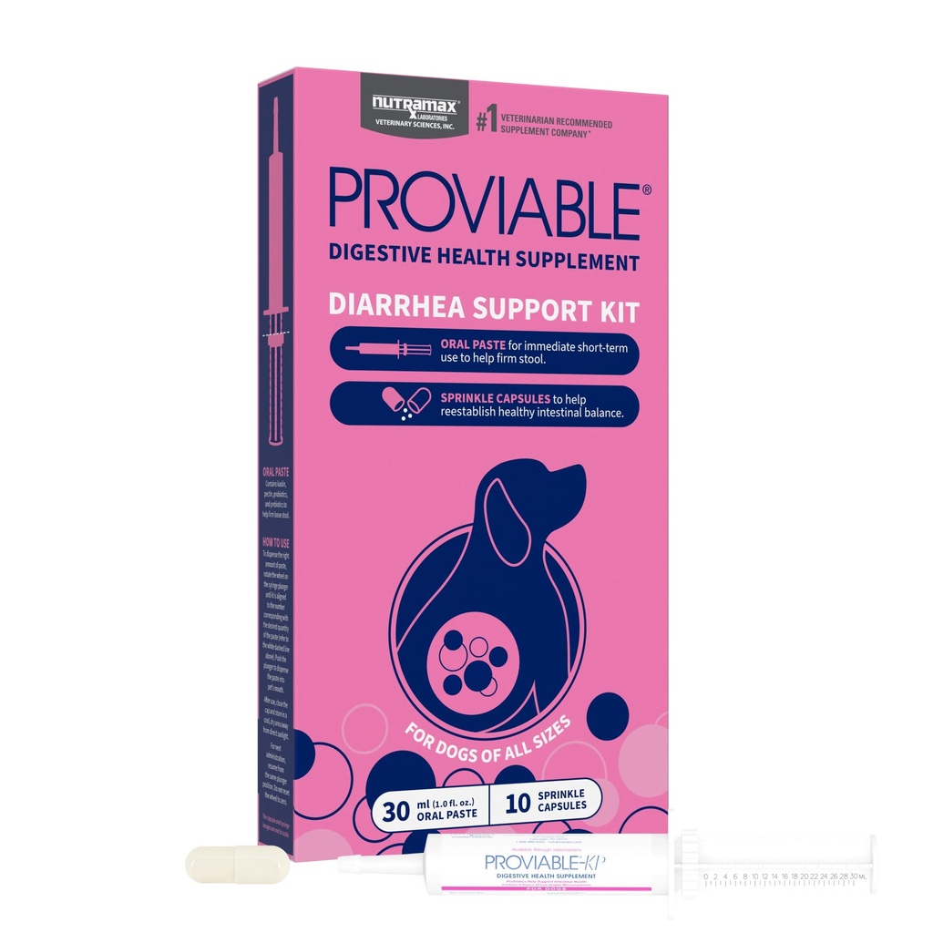 Nutramax Probióticos Proviables para Perros, Kit de Apoyo a la Diarrea, Suplemento de Salud Digestivo con múltiples Strains de Bacterias, Más Prebióticos, Kaolin y Pectina, 30 ml Paste y 10 cápsulas