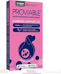 Nutramax Probióticos Proviables para Perros, Kit de Apoyo a la Diarrea, Suplemento de Salud Digestivo con múltiples Strains de Bacterias, Más Prebióticos, Kaolin y Pectina, 30 ml Paste y 10 cápsulas