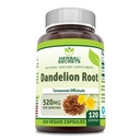 Herbal Secrets Dandelion Root Suplemento TEN 520 Mg ANTE 120 Veggie Capsules Silencio No-GMO Silencio Gluten Free TEN Made in USA
