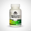 Memory Muscle – Advanced Nootropic Brain Supplement with Vitamin B12, Bacopa Monnieri &amp; DMAE for Focus, Memory, Mental Clarity & Clean Energy – Premium Cognitive Support Formula