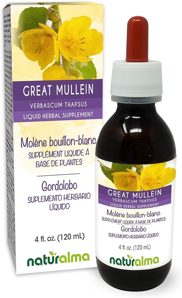 Naturalma Great Mullein or Common Mullein (Verbascum thapsus) Flower and Leaf Alcohol-Free Tincture - 4 fl oz Liquid Extract in Drops - Herbal Supplement - Vegan