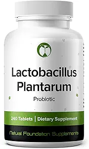 Lactobacillus Plantarum Probiotic Supplement 240 Tablets 3 Billion CFU Probiotics for Men &amp; Women Supports Intestinal Digestive & Gut Health (240, Lactobacillus Plantarum)