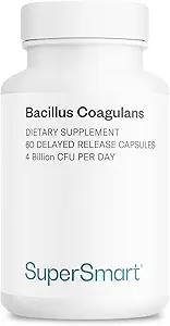 Supersmart Bacillus Coagulans Probiotic 4 Billion CFU per Day (High Absorption) - Lactobacillus Sporogenes Supplement | Non-GMO & Gluten Free - 60 Delayed Release Capsules