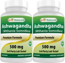 Mejores Naturales Ashwagandha Extracto 500 Mg 120 Capsules (Pack of 2)