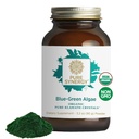 PURE SYNERGY Blue-Green Algae Powder  sometida Superfood Powder with Chlorophyll ¦ Orgánica AFA Blue Green Algae Suplemento ← Soporta Energía, Claridad Mental y Detoxificación (3.2 oz.)