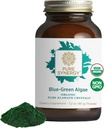 PURE SYNERGY Blue-Green Algae Powder  sometida Superfood Powder with Chlorophyll ¦ Orgánica AFA Blue Green Algae Suplemento ← Soporta Energía, Claridad Mental y Detoxificación (3.2 oz.)