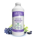 Buried Treasure Fulvic Minerals Grape Flavored – Colloidal Minerals from Humic Fulvic Acid, Electrolytes from Trace Minerals for Recovery and Wellness Support. Add to Water – 32 Servings