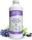 Treasure Fulvic Minerals Grape Flavored – Colloidal Minerals from Humic Fulvic Acid, Electrolytes from Trace Minerals for Recovery and Wellness Support. Añadir al agua – 32 Servimientos
