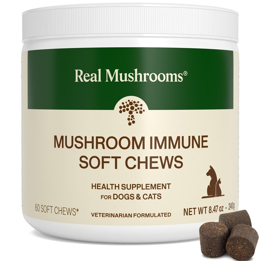 Real Mushroom Immune Pet Chews – For Daily Digestive & Immune Health – Mushrooms for Dogs & Cats Funal Treat – Mushroom Supplement for Dogs & Cats – 1 a 4 Chews For All Breeds & Size (60 Count)