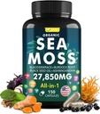 Complejo de cápsulas de mar con aceite de semilla negra,Aşhwagandha,Burdock Root,Bladderwrack Vitaminas de jengibre Suplemento multimineral - Irlandés Wild Seamoss Pills Advanced Blend for Hombre Mujeres (150 cápsulas)