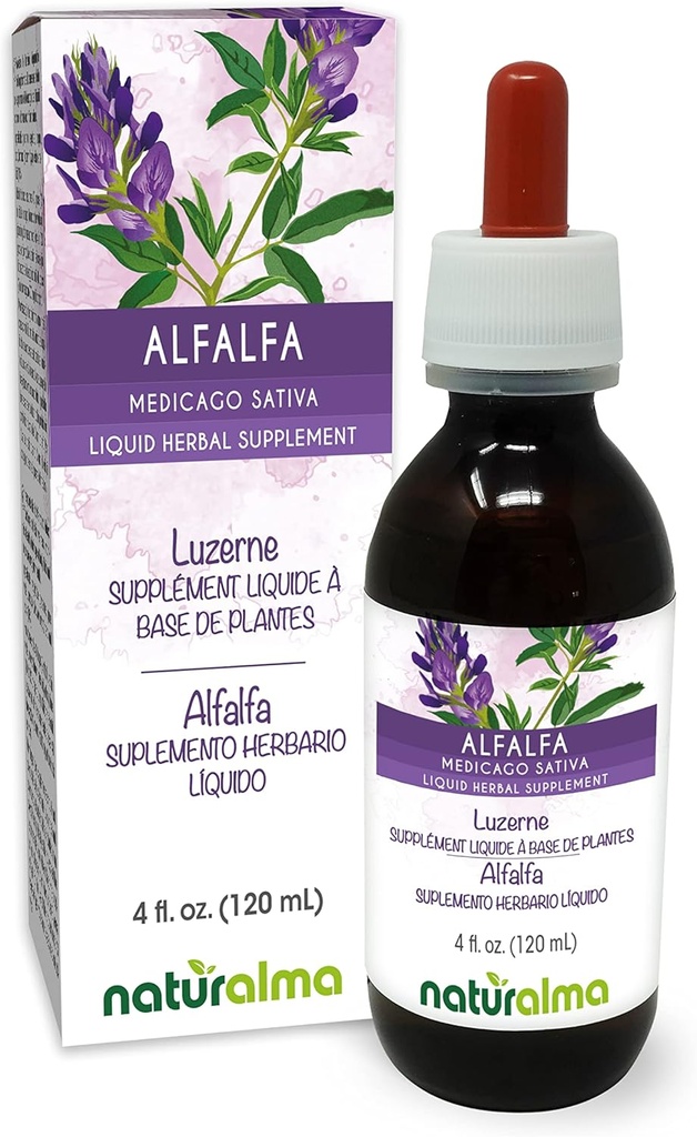 Naturalma Alfalfa o Lucerna (Medicago Sativa) hierba con Flores Tintura libre de alcohol - Rico en clorofil natural - 4 fl oz Extracto líquido en gotas - Suplemento herbal - Vegan