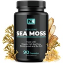 Irlandés Moss Capsules Silencio con Orgánica Irlandesa Moss, 300mg Burdock Root & 500mg Bladderwrack Powder ← 45-Day Supply ← Complejo 1300mg ← Proporciona Iodo para Tiroides &amp; Immune Support ← 90 Veggie Pills