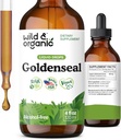Tintura de Goldenseal Salvaje y Orgánica - Soporte Digestivo Pulido - Goldenseal Root Extract Liquid Drops - Vegan, Azúcar &amp; Alcohol-Free Herb Suplemento - 4 fl oz