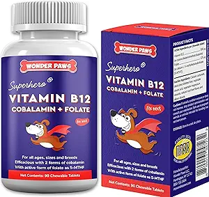 Wonder Paws B12 Suplemento para perros – Vitamina B-12 para todas las edades, tamaños &amp; razas – Vitamina B12 para perros como Metilcobalamina Superior, Cobalamina &amp; Folate (5-MTHF) – 90 Beef Flavored Chewables