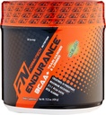 Endurance BCAA Plus, Diseñado para el entrenamiento más duro y más largo con Beta Alanine, Melon, 434 Gram